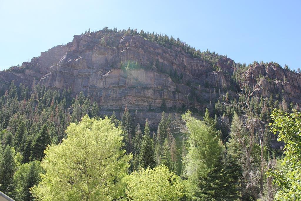 Black Bear Manor Ouray Esterno foto